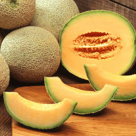 Organic (Desi) Muskmelon / KharboojSeeds(Pack Of - 50 Seeds)