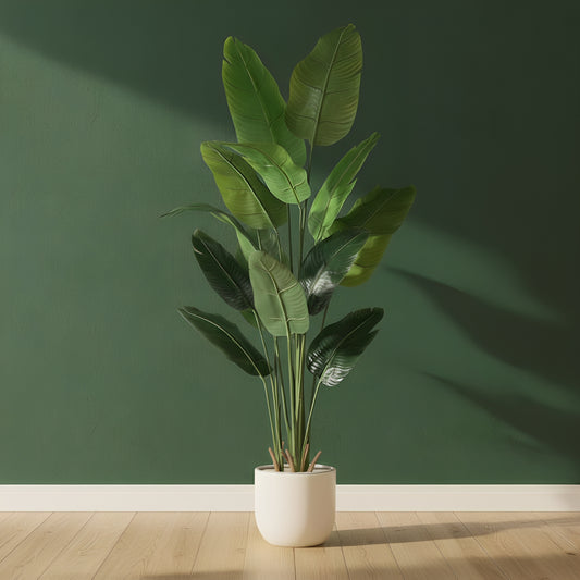 Fressia Flower Bulbs (pack of 20 bulbs)